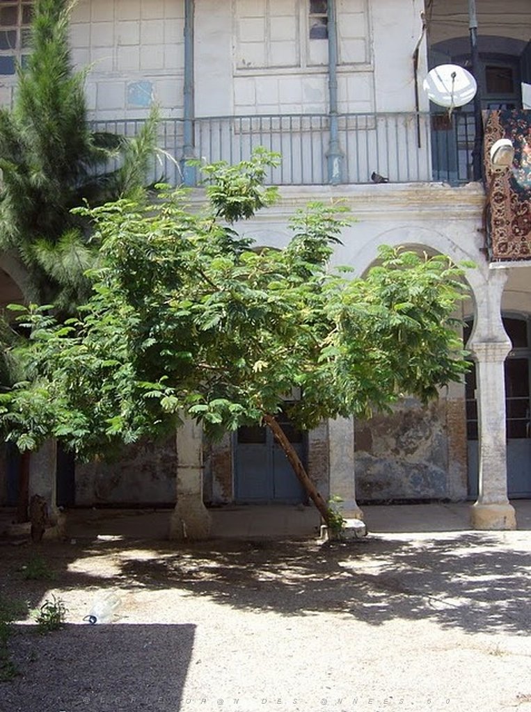 ORAN 2010  ECOLE SEDIMAN (9).jpg